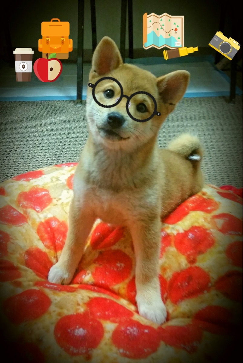 奥运备战全景观察 中国队都在练什么，我想看中国队的奥运会