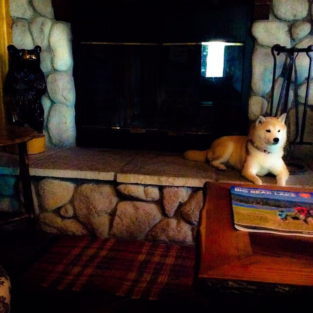 德国队如何应对国际乒联混合团体世界杯新赛制？，国际乒联世界巡回赛 德国公开赛男单