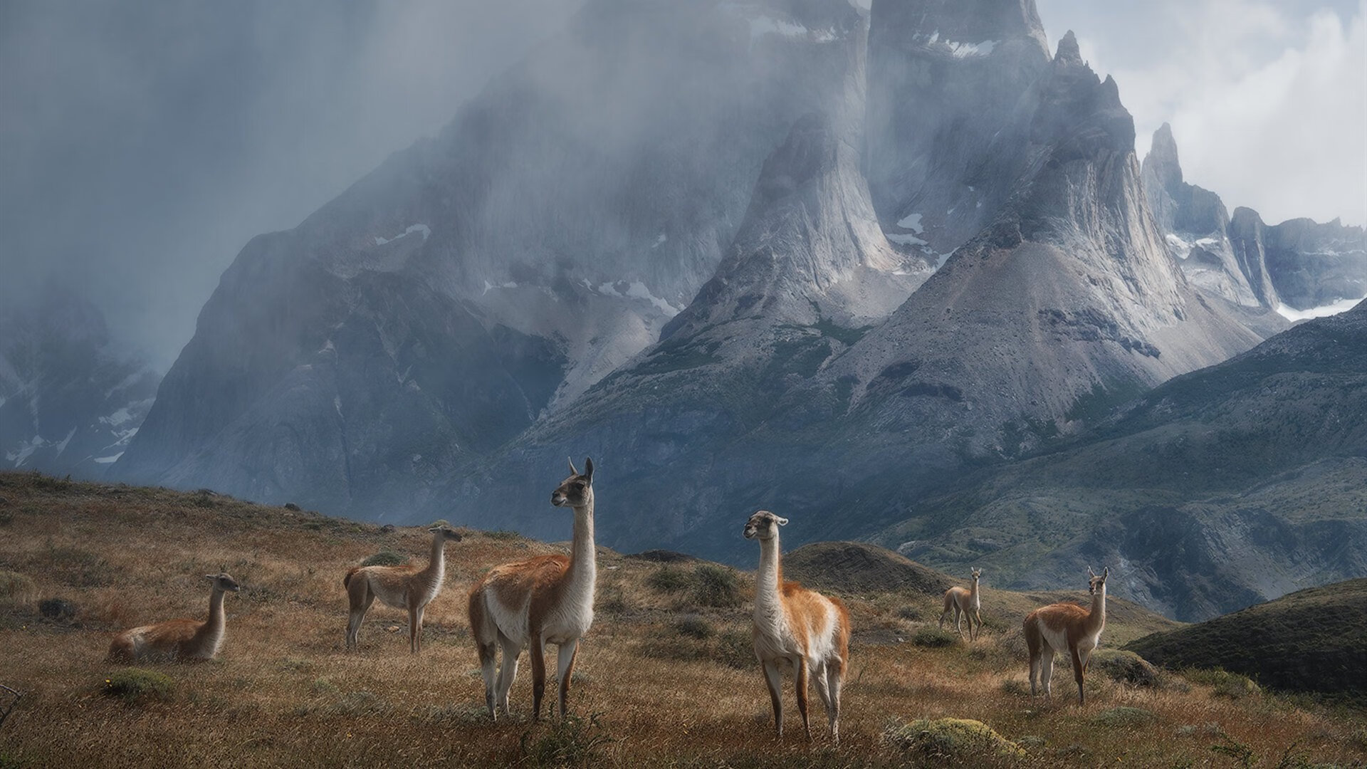 开云官网-CBA俱乐部增设球员心理支持团队促进健康发展，cba俱乐部靠什么收入