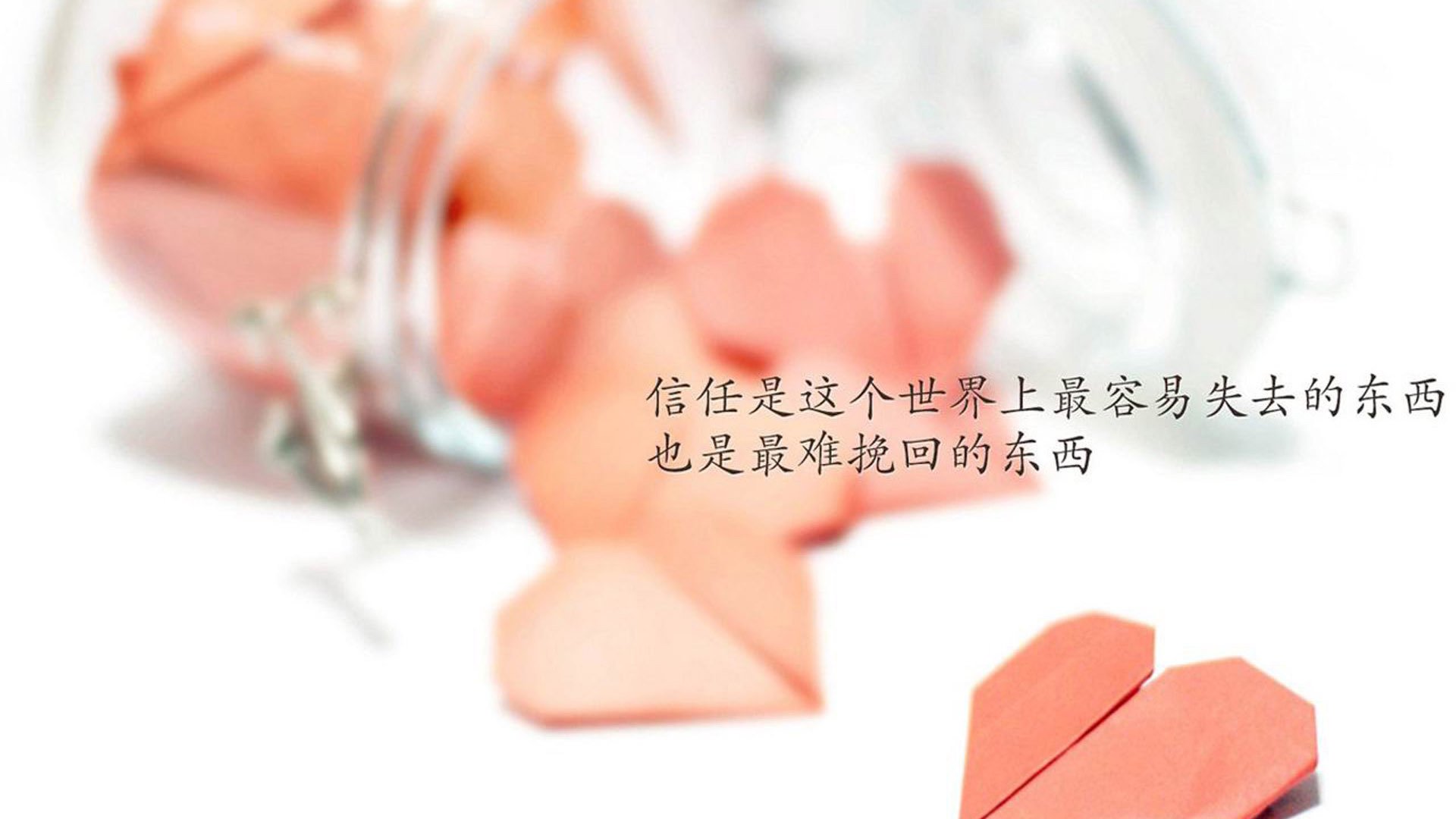 塞尔维亚女篮在欧洲锦标赛中表现优异，争夺金牌荣耀，塞尔维亚女篮欧锦赛冠军