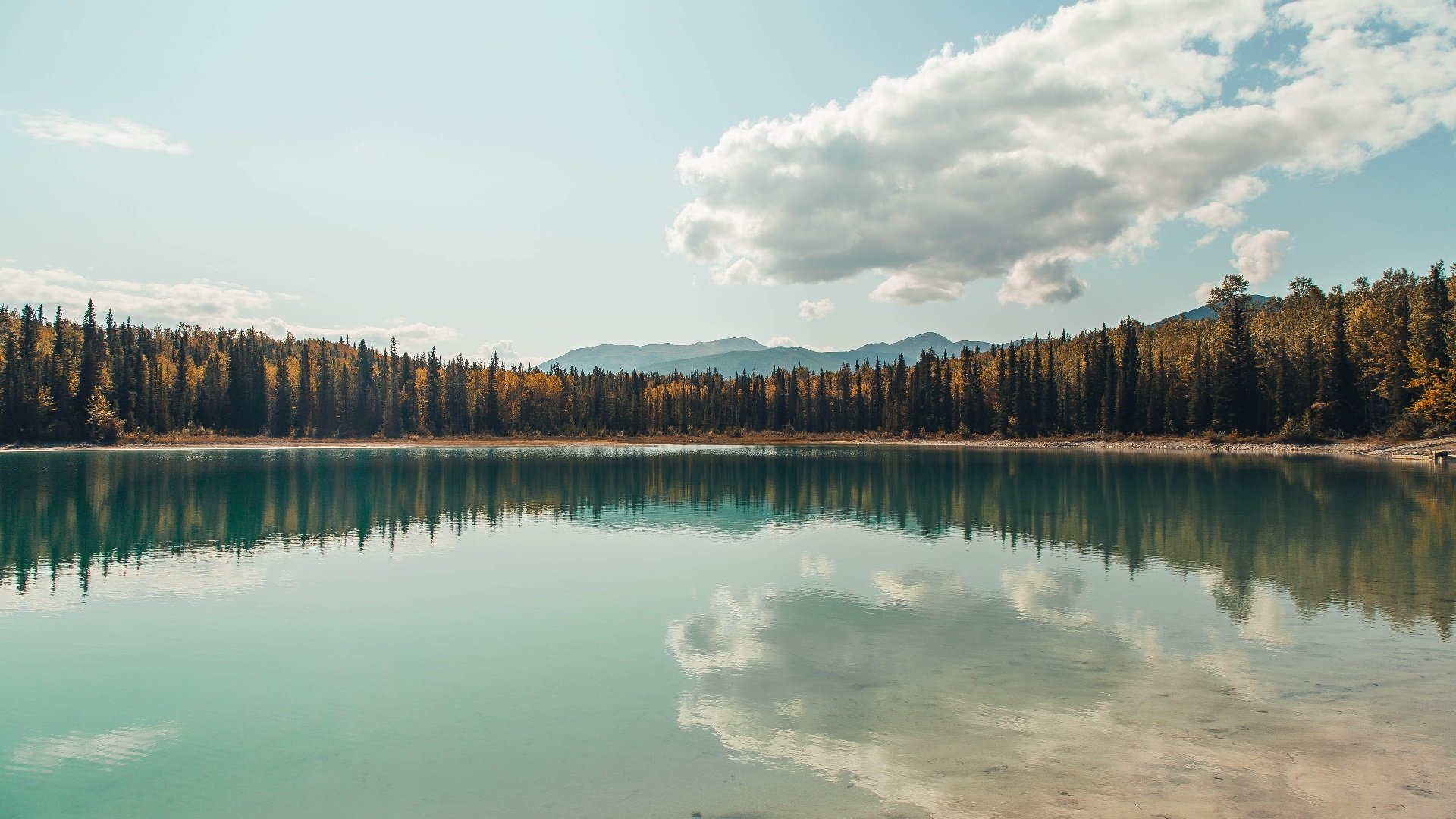 kaiyun体育综合-女子篮球国家队签约新体能教练，女子篮球国家队签约新体能教练名单