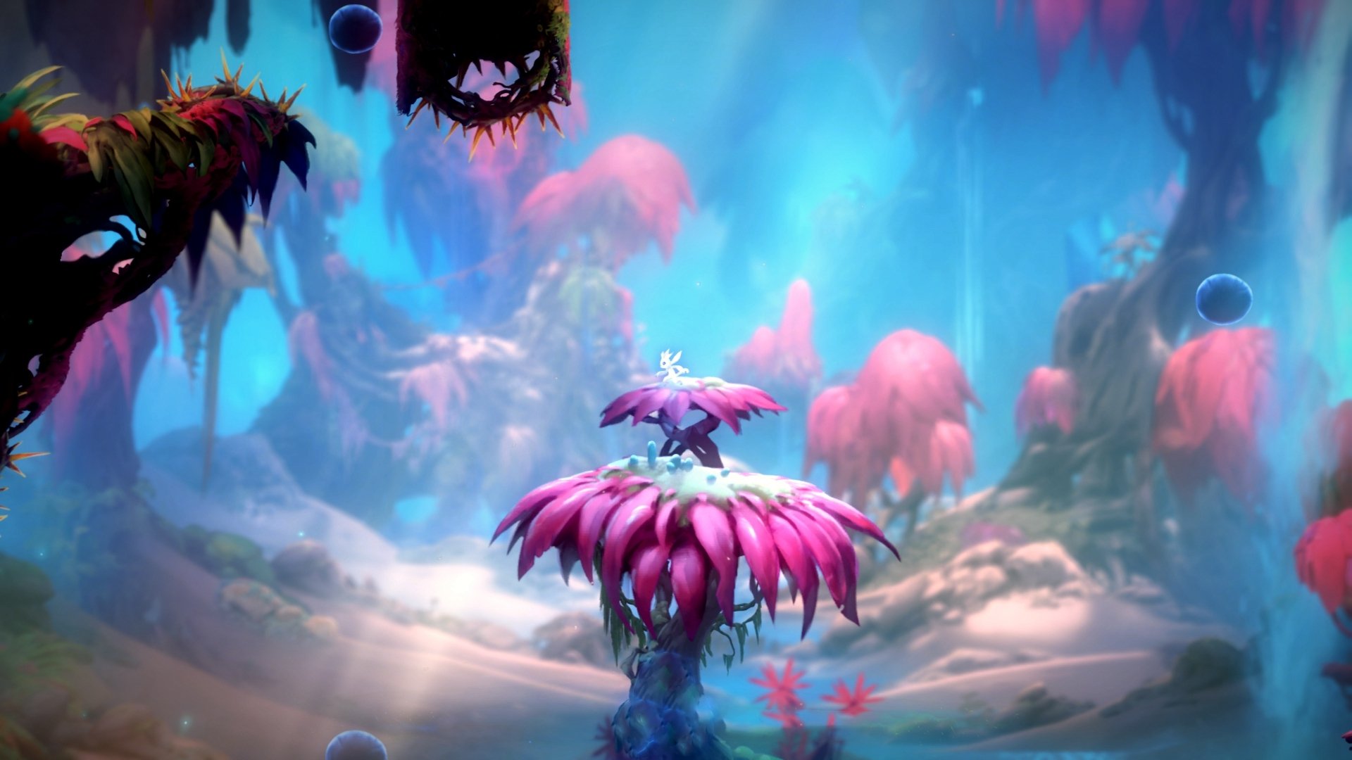 威尔士女子橄榄球队崛起，成为橄榄球新力量，威尔士橄榄球联盟