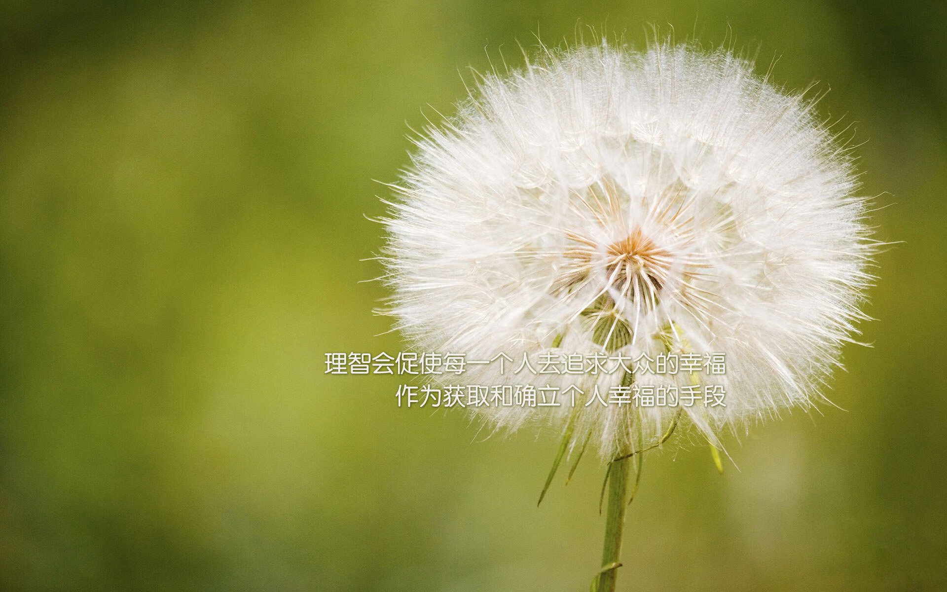 巴西女篮在拉丁美洲锦标赛中夺冠，继续巩固区域霸主地位