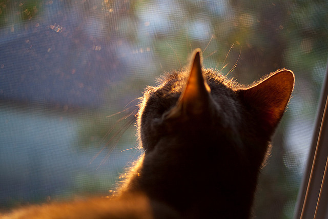 张雨霏突破自我刷新纪录,张雨霏专访