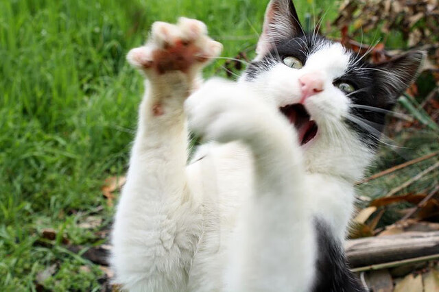 村级篮球赛融合社区公益激发基层体育热情，村级篮球比赛