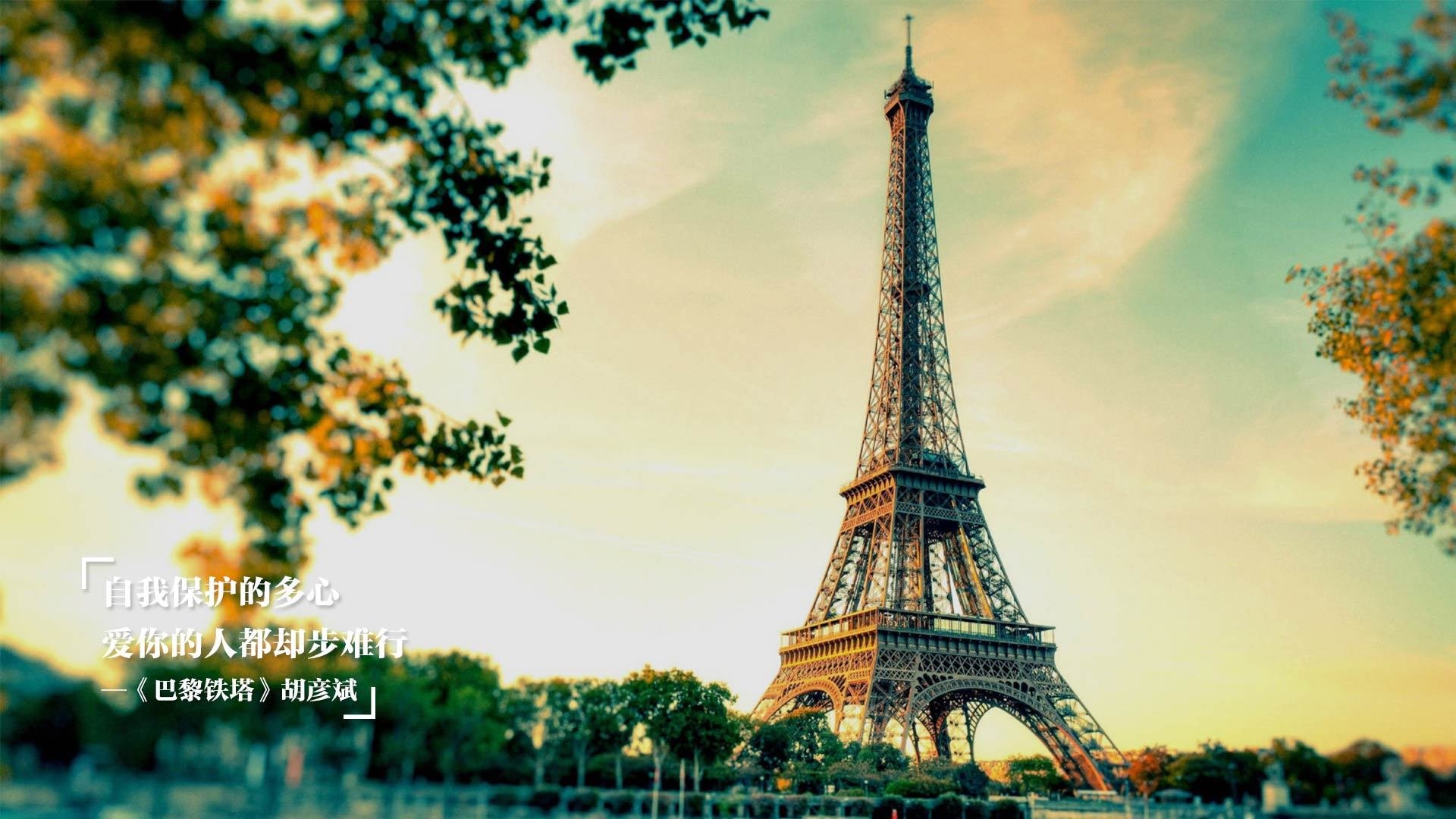 球迷横幅抗议裁判判罚,赛会回应承诺调查,球员骂裁判