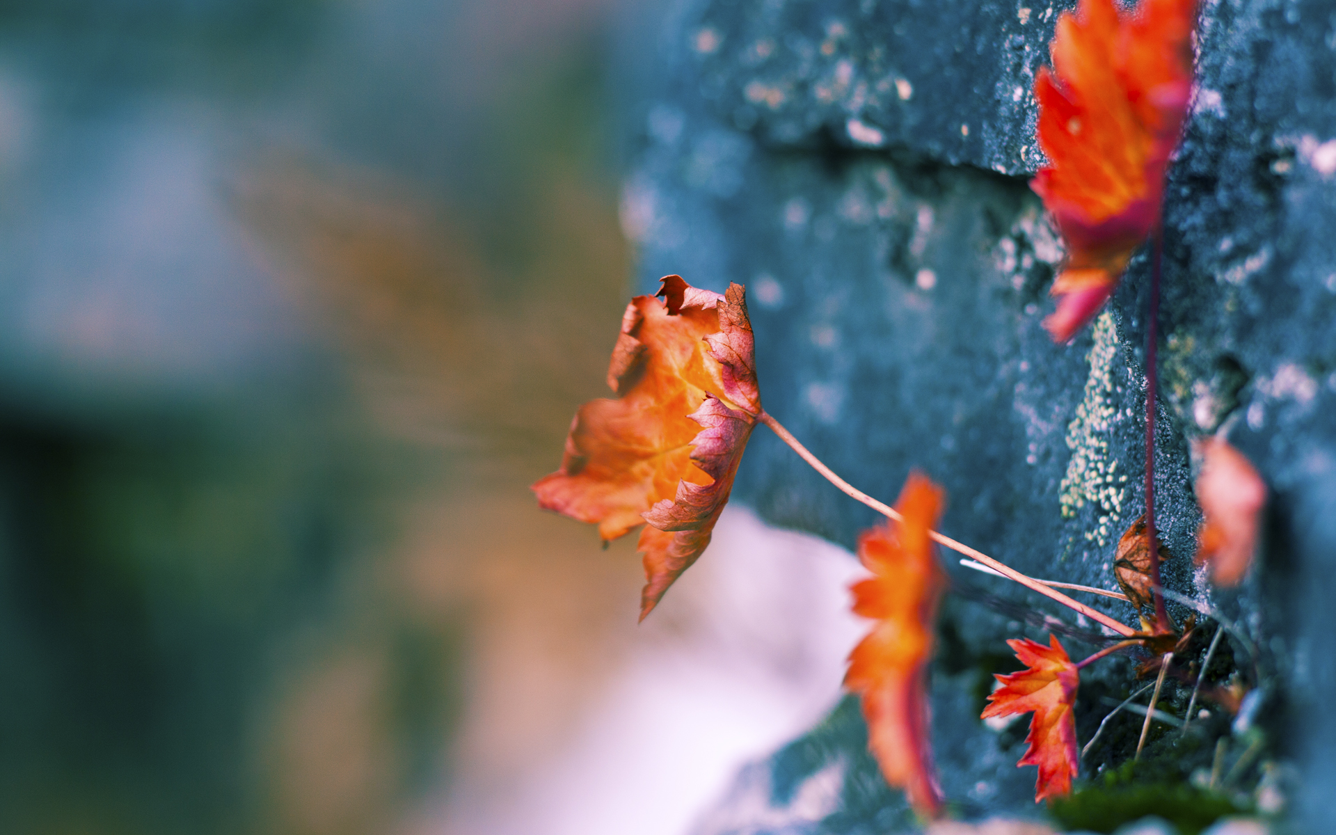 西甲球队的海外市场运营策略，西甲 球队